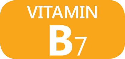 b7 vitamin biotin SPA hajvitamin